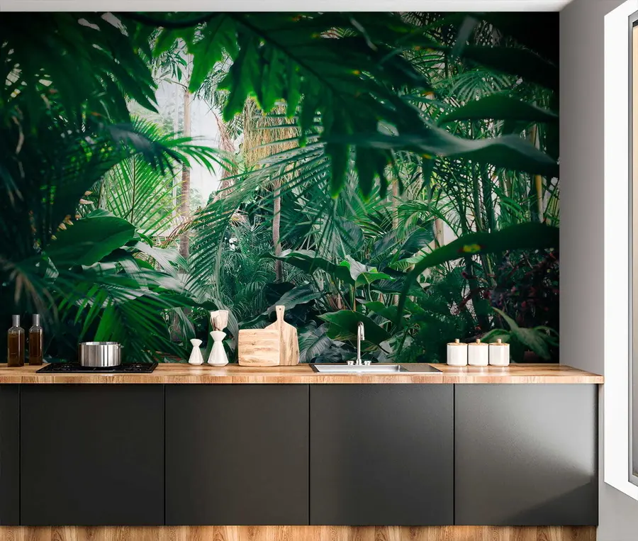 murales de pared Selva densa u05361