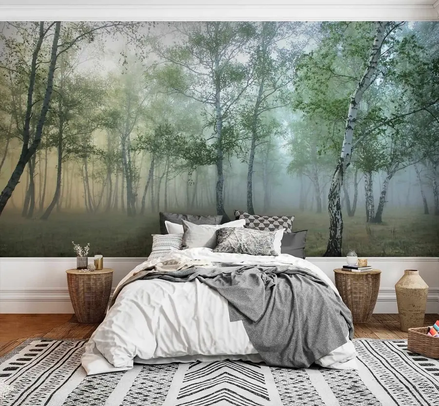 murales de pared Bosque de abedules de niebla u25820