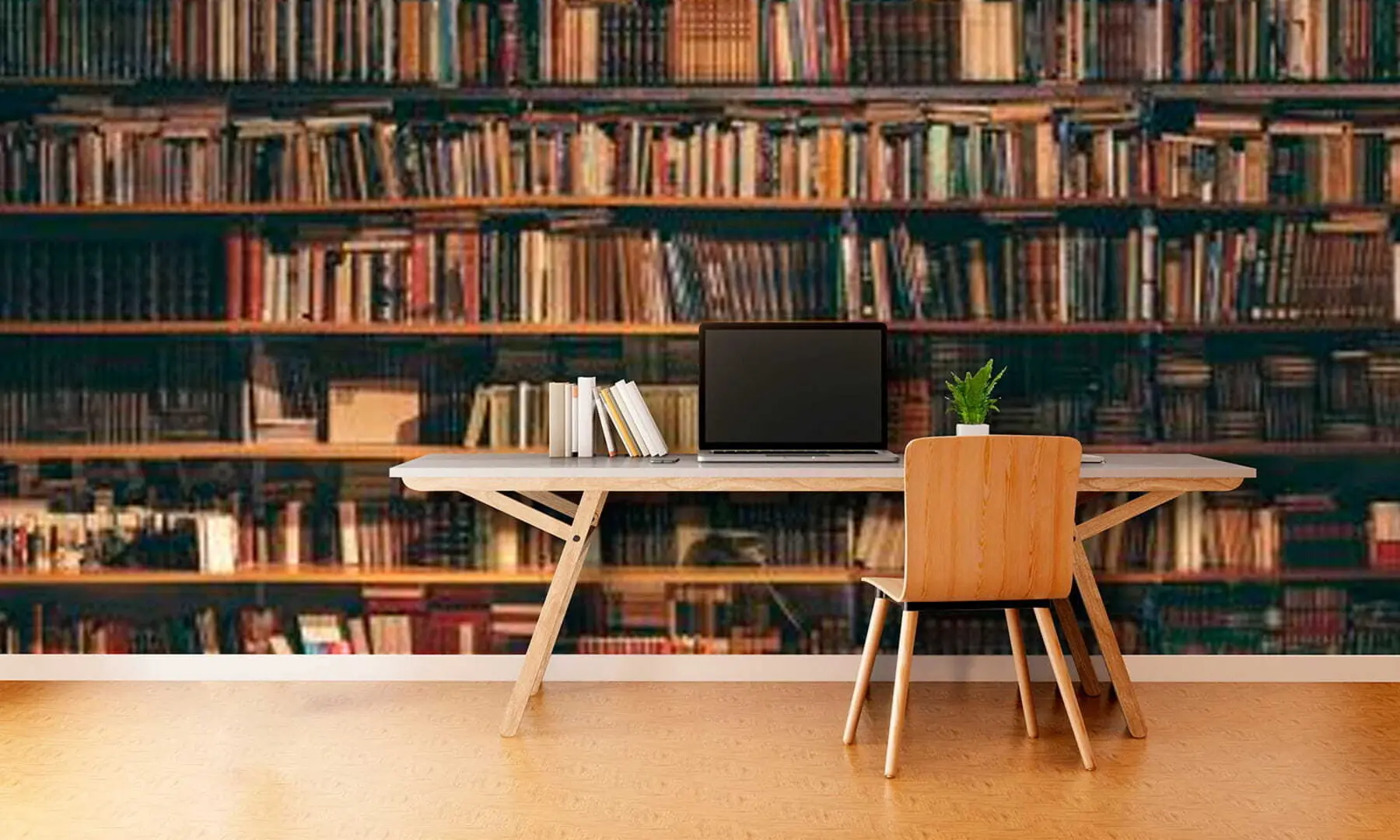 murales de pared Una gran biblioteca u40004