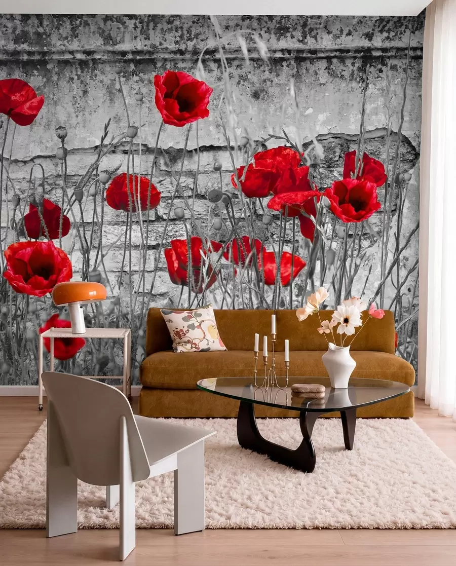 murales de pared Amapolas brillantes en el fondo de la pared u40552