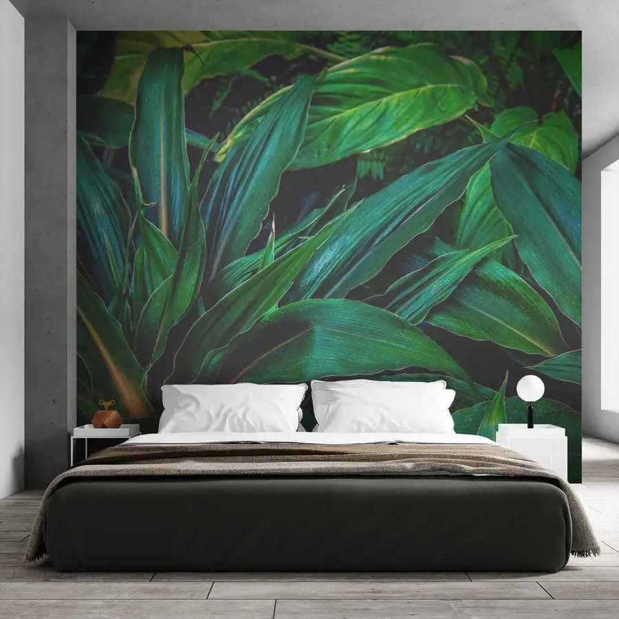 murales de pared Hojas de bali u41136
