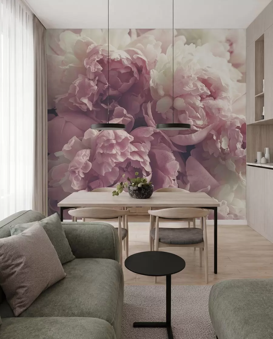 murales de pared Peonias delicadas u44746