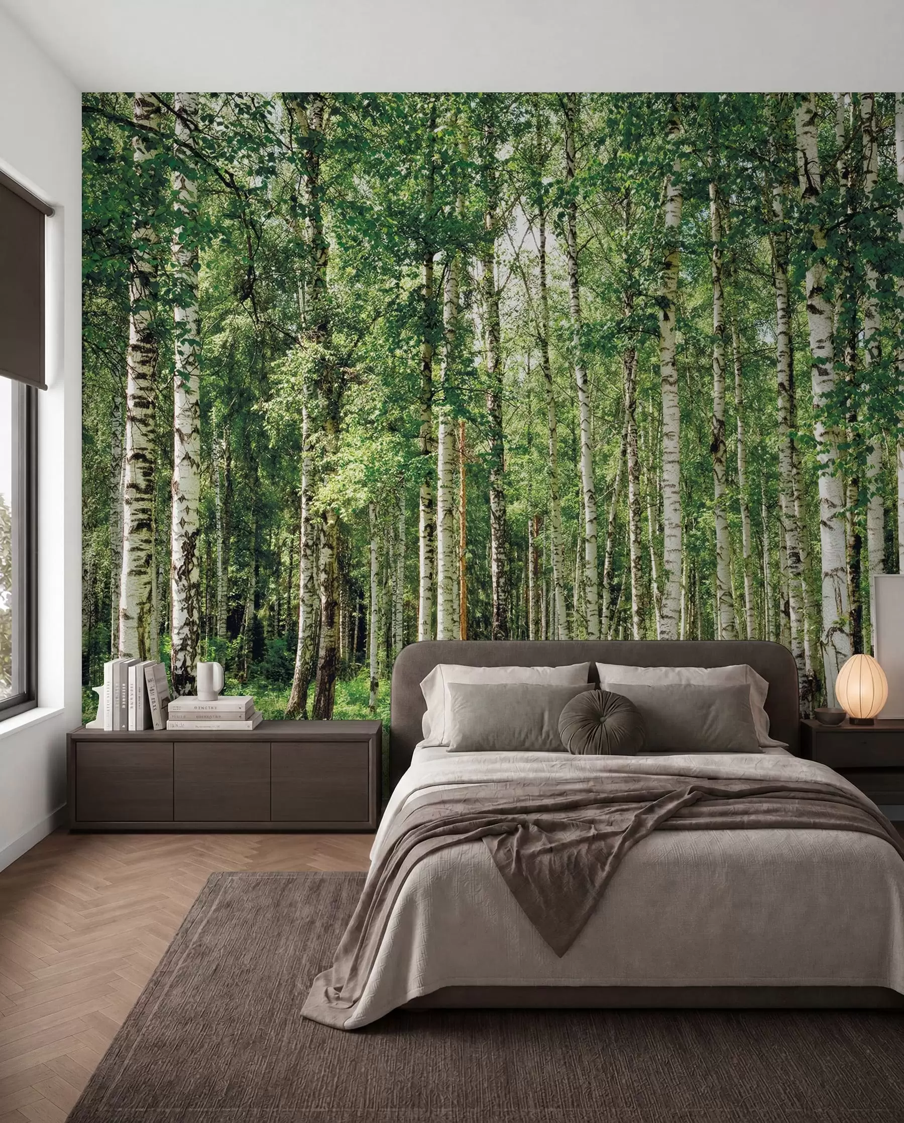 murales de pared Bosque de abedules u52530