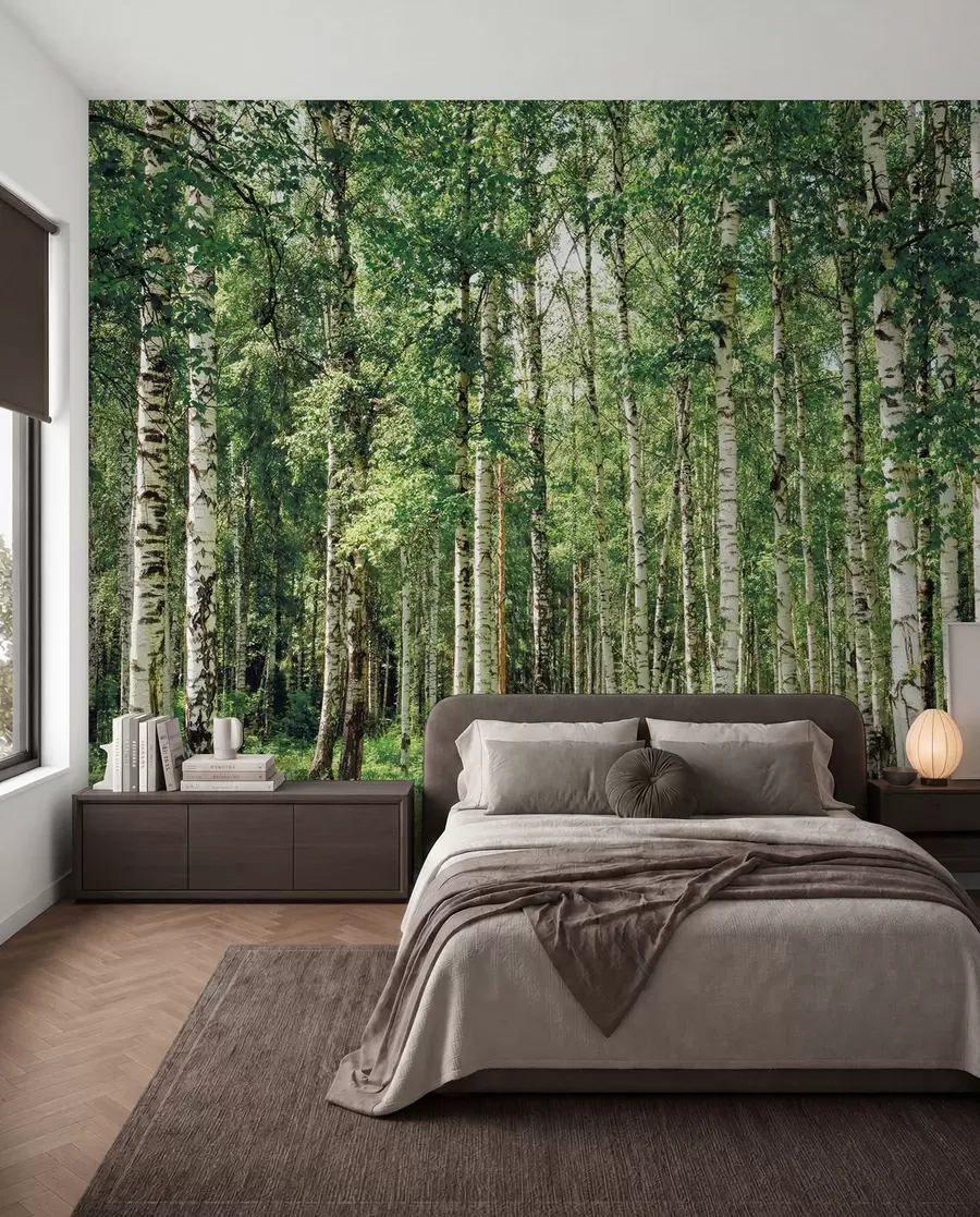 murales de pared Bosque de abedules u52530