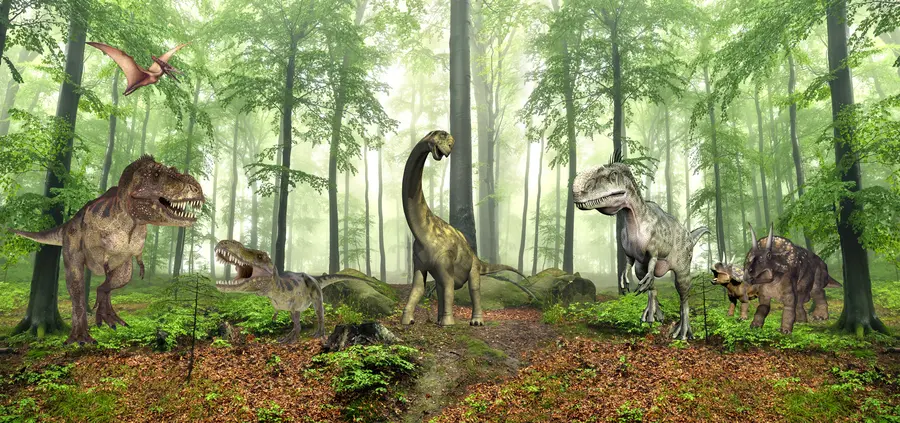 murales de pared Dinosaurios en el bosque u60039