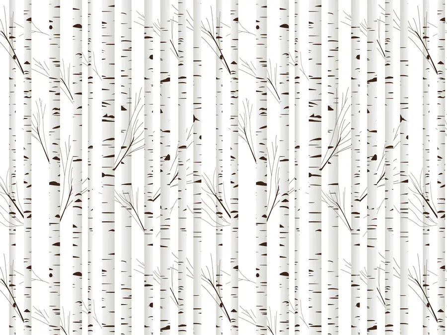 murales de pared Bosque de abedules u58973