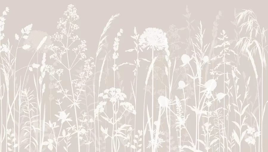 murales de pared Minimalismo de flores y plantas de campo suaves. w01270