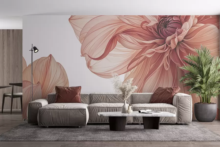 murales de pared Primer plano de varias flores grandes de dalia de color rojo vivo con pétalos suaves y delicados sobre un fondo blanco w08257