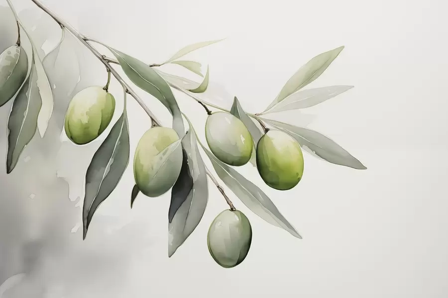 murales de pared Rama con aceitunas verdes acuarela húmeda w02042
