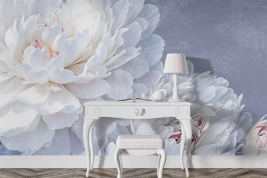 murales de pared Flores de peonía blancas con pétalos suaves y delicados sobre un fondo de textura azul pastel claro w08379