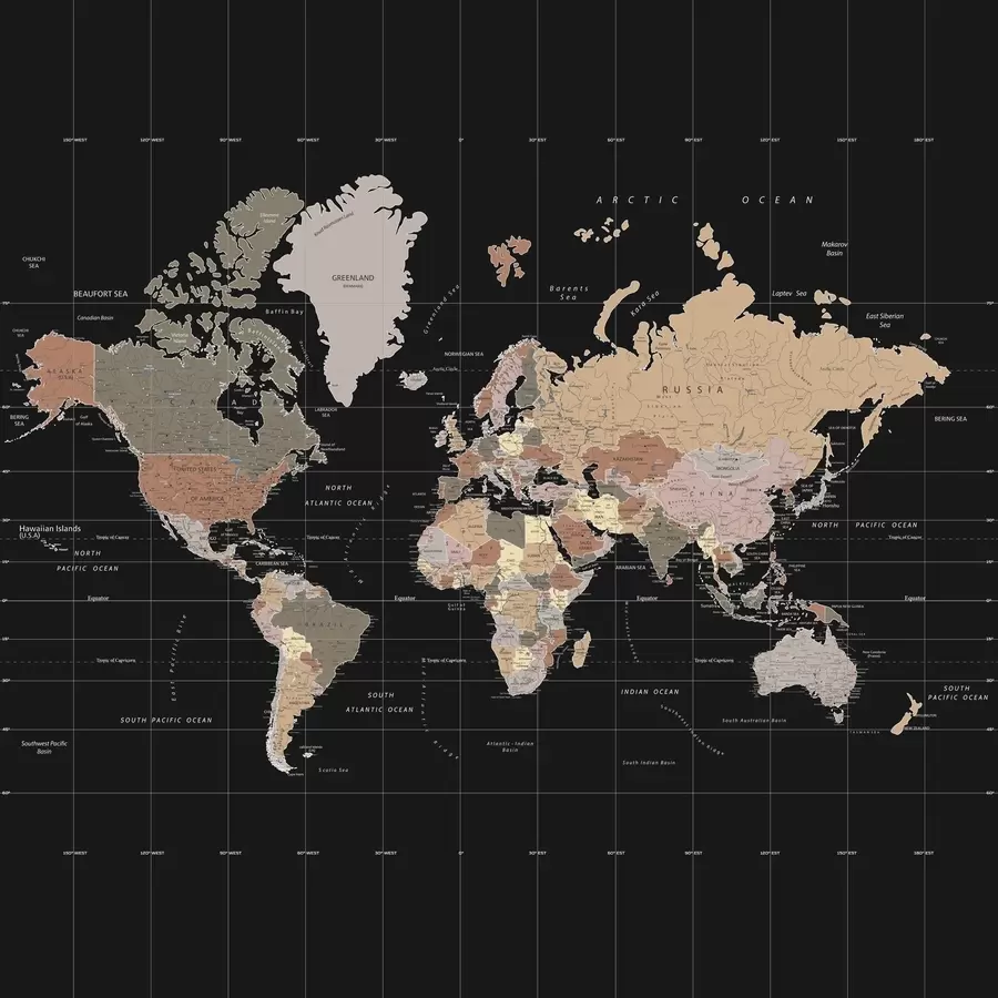murales de pared Mapa del mundo con diversos países delineados u99477d1