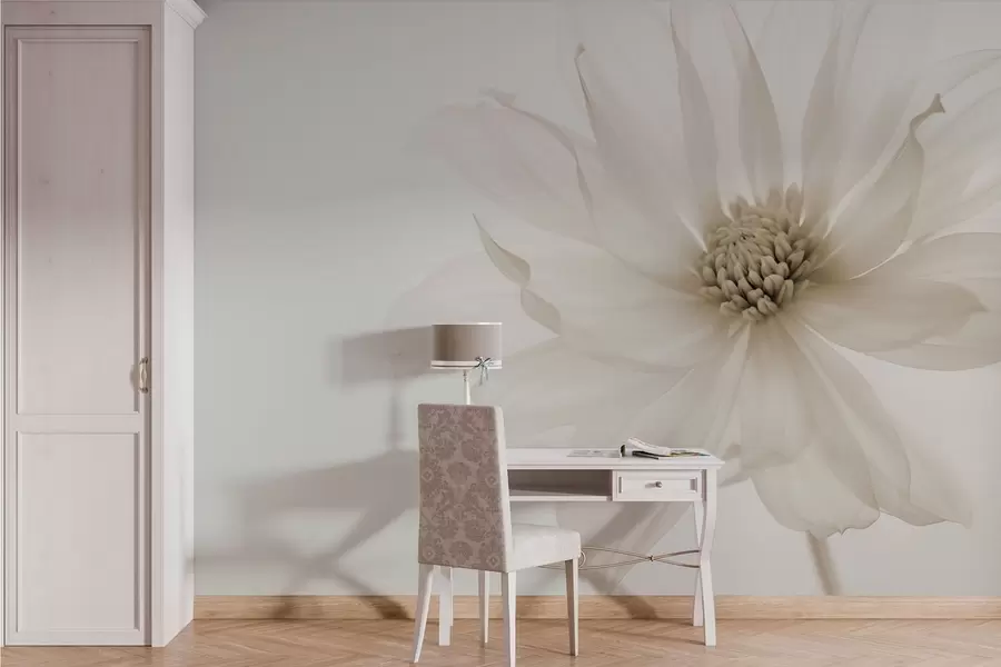 murales de pared Delicada flor beige sobre fondo claro w02077v1