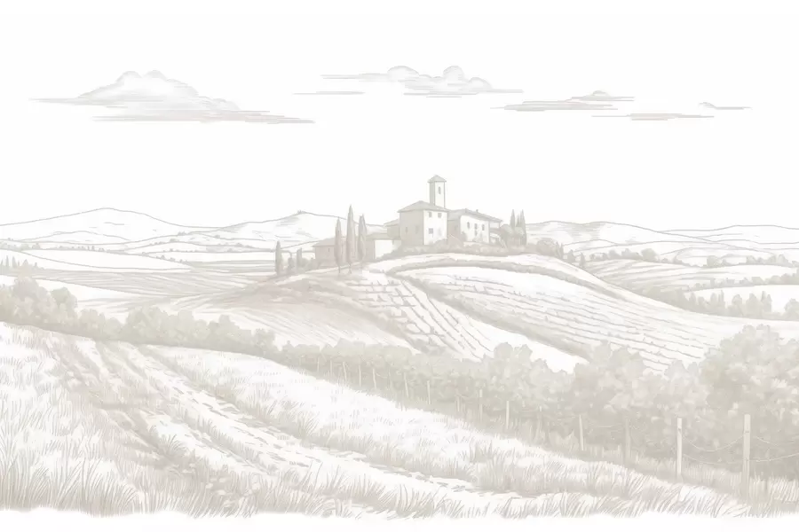 murales de pared Paisajes de la Toscana, Italia, viñedos, naturaleza, castillo antiguo, colores beige w03349