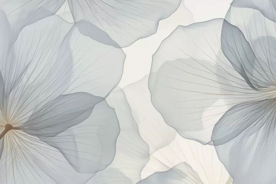 murales de pared Pétalos w04229