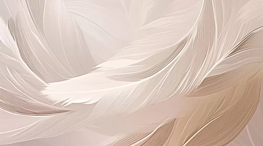 murales de pared Plumas w05104