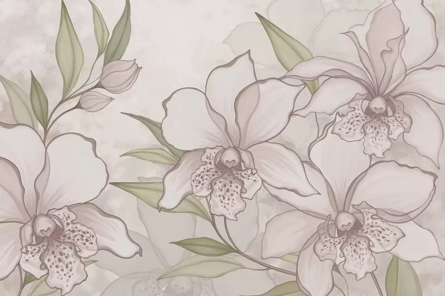 murales de pared Ilustración de orquídeas pálidas con hojas sobre fondo beige. w05117