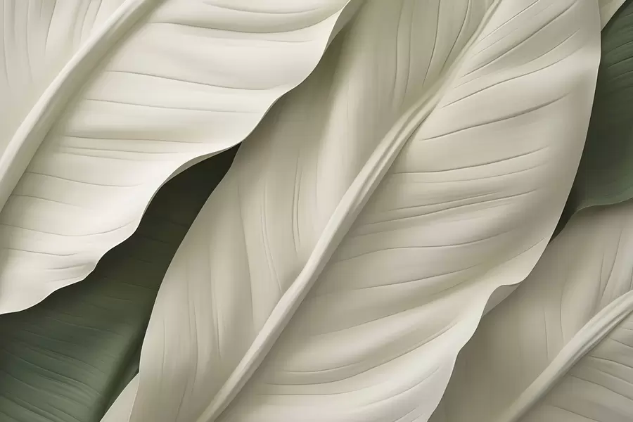 murales de pared Hojas w05786