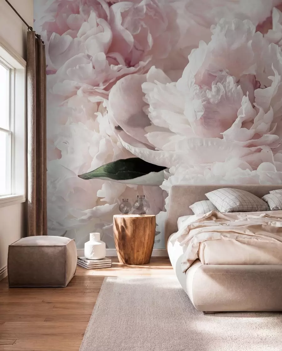 murales de pared Peonías de color rosa pálido u59600