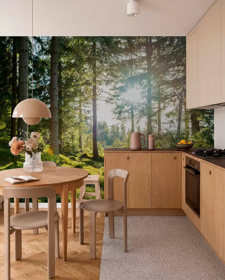 murales de pared Montañas Carkonoshe en Polonia u80015