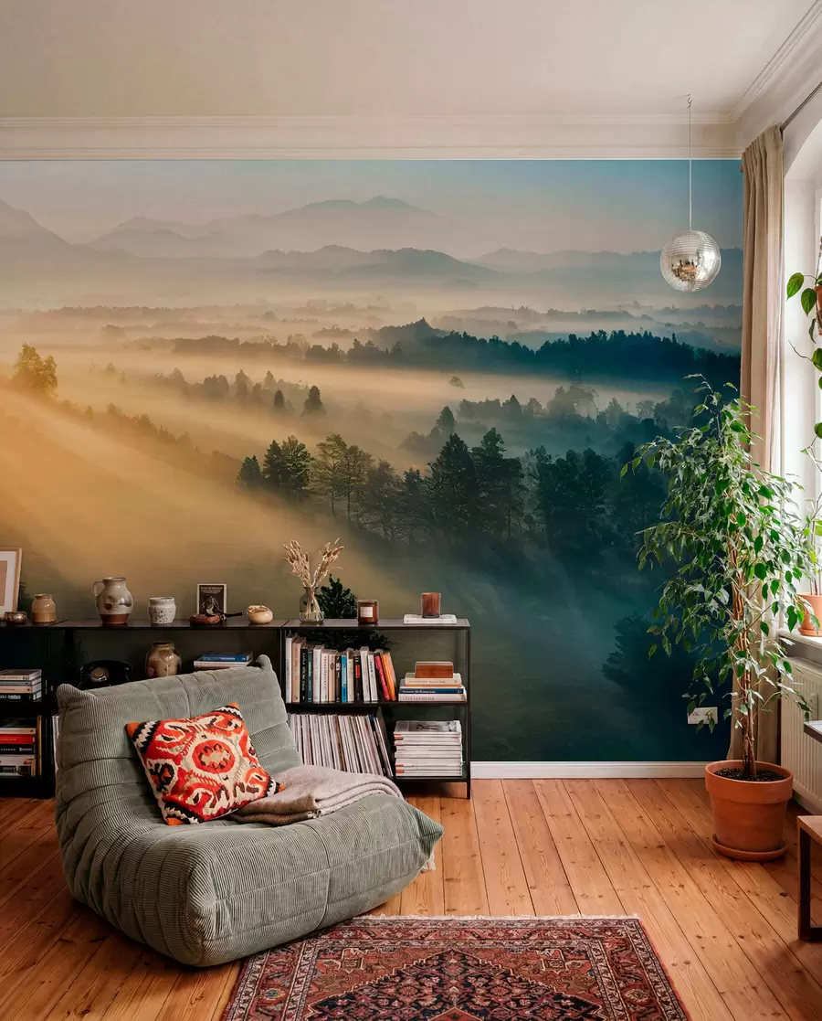 murales de pared Rayos del sol y el bosque nebuloso u73864
