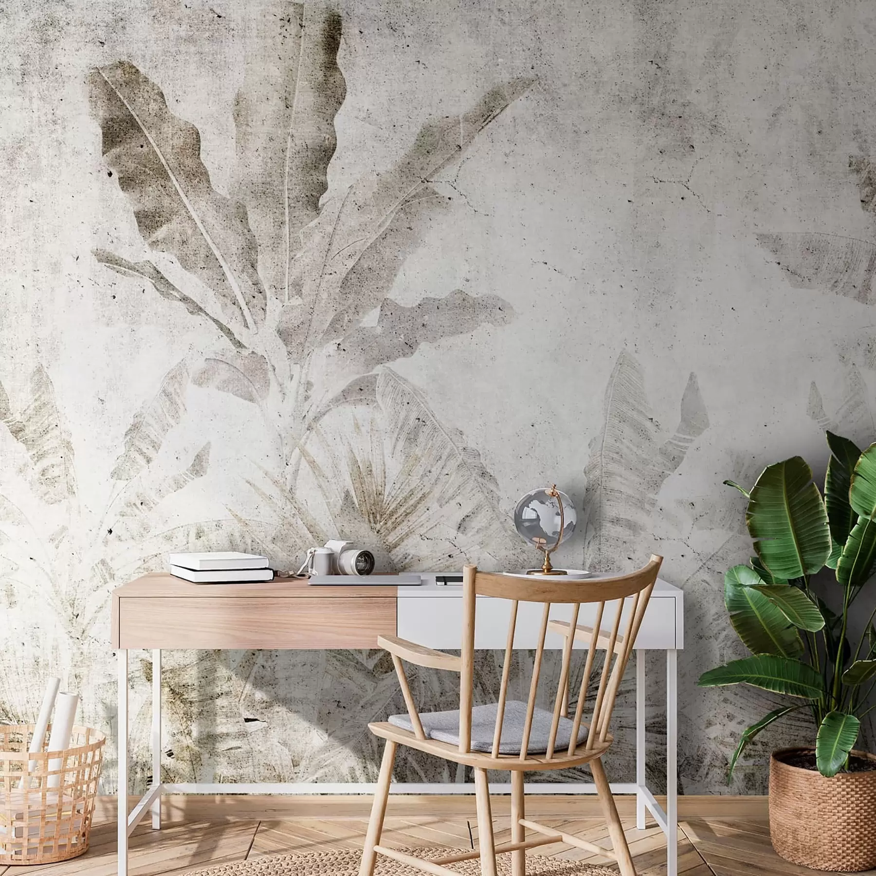 murales de pared Hojas de plátano en un muro de hormigón u73886