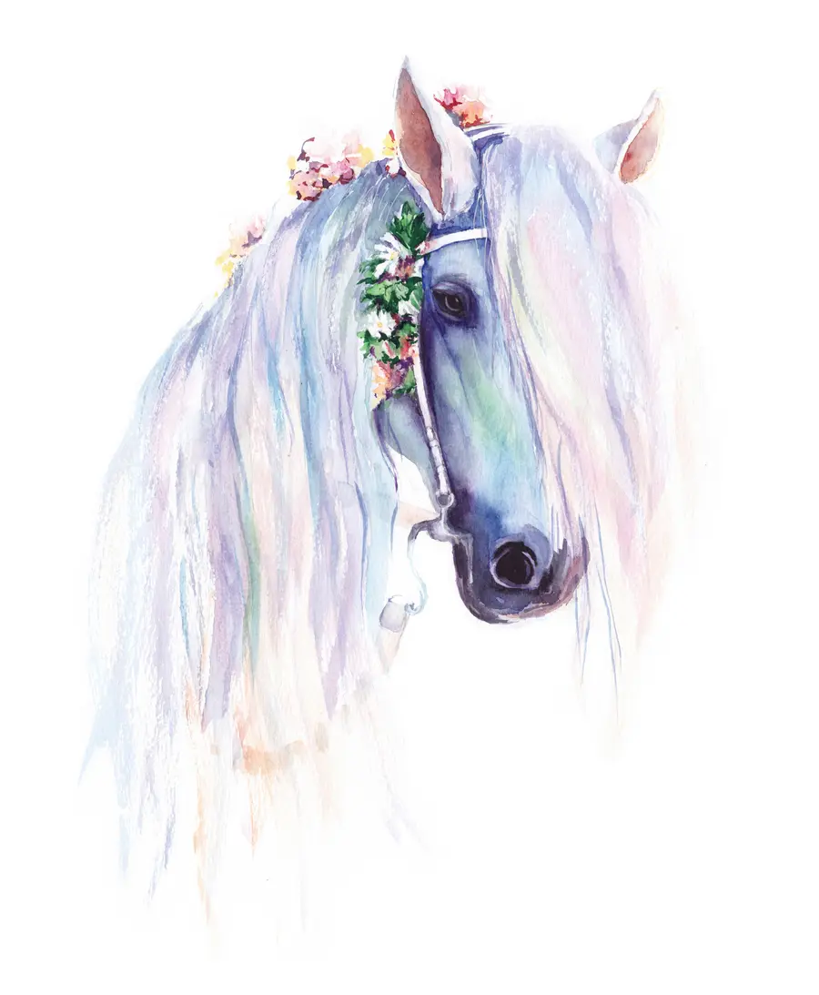 murales de pared Caballo azul con flores en una palanca u93591