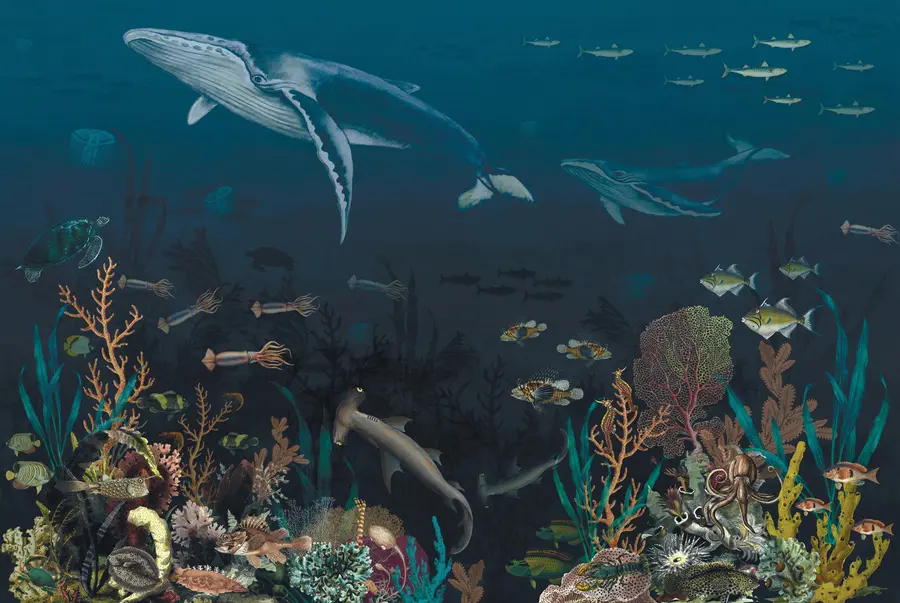 murales de pared Residentes del océano u73581