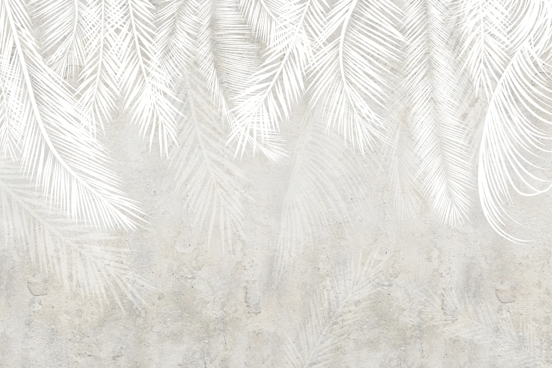 murales de pared Hojas de palma frágiles blancas con textura grunge u94286