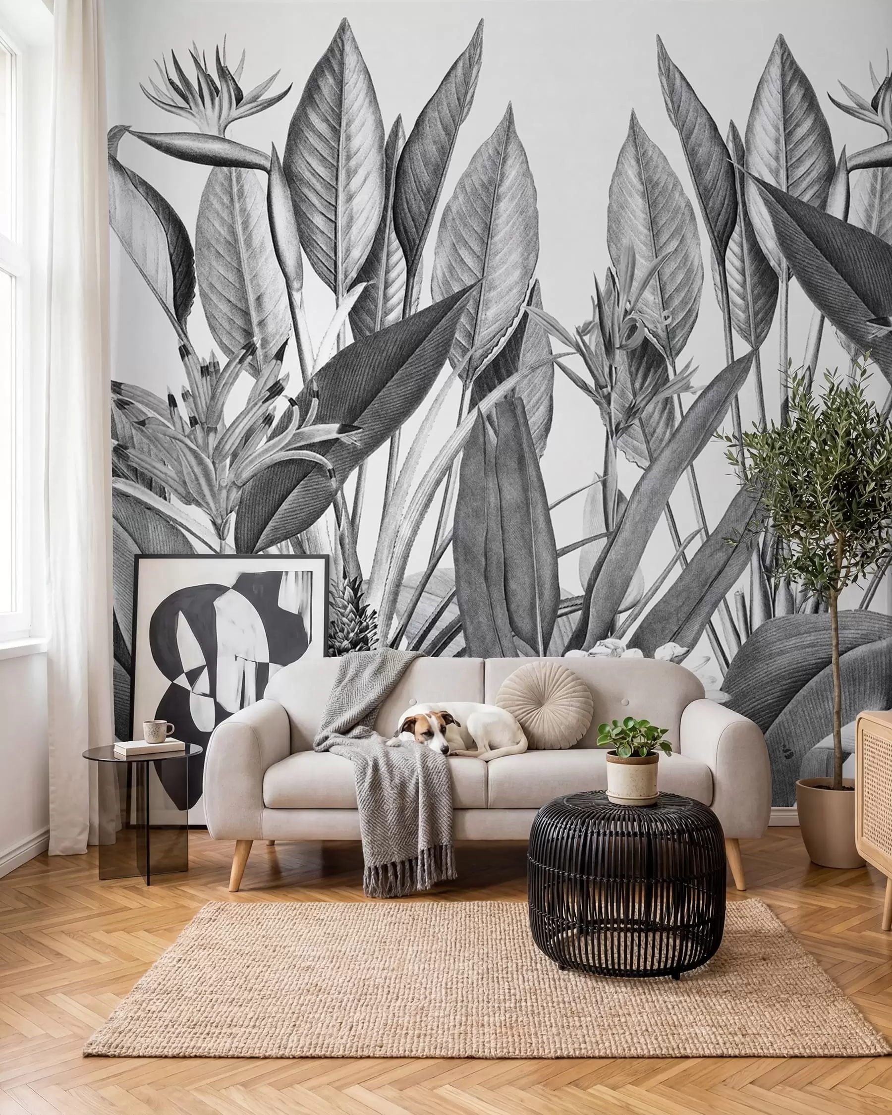murales de pared Plantas de la selva tropical color blanco y negro u96833