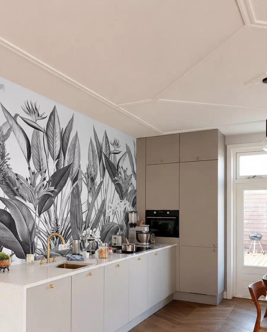 murales de pared Plantas de la selva tropical color blanco y negro u96833
