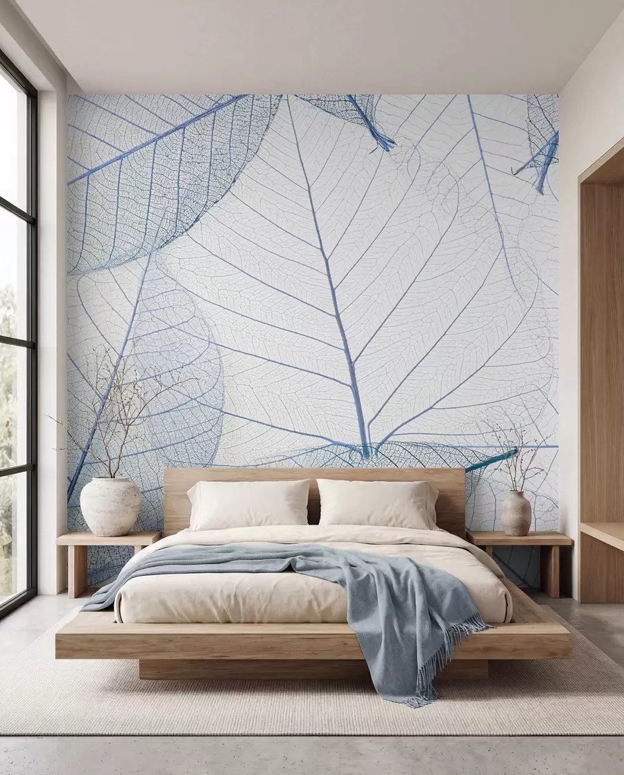 murales de pared Hojas transparentes de color azul u24439v1