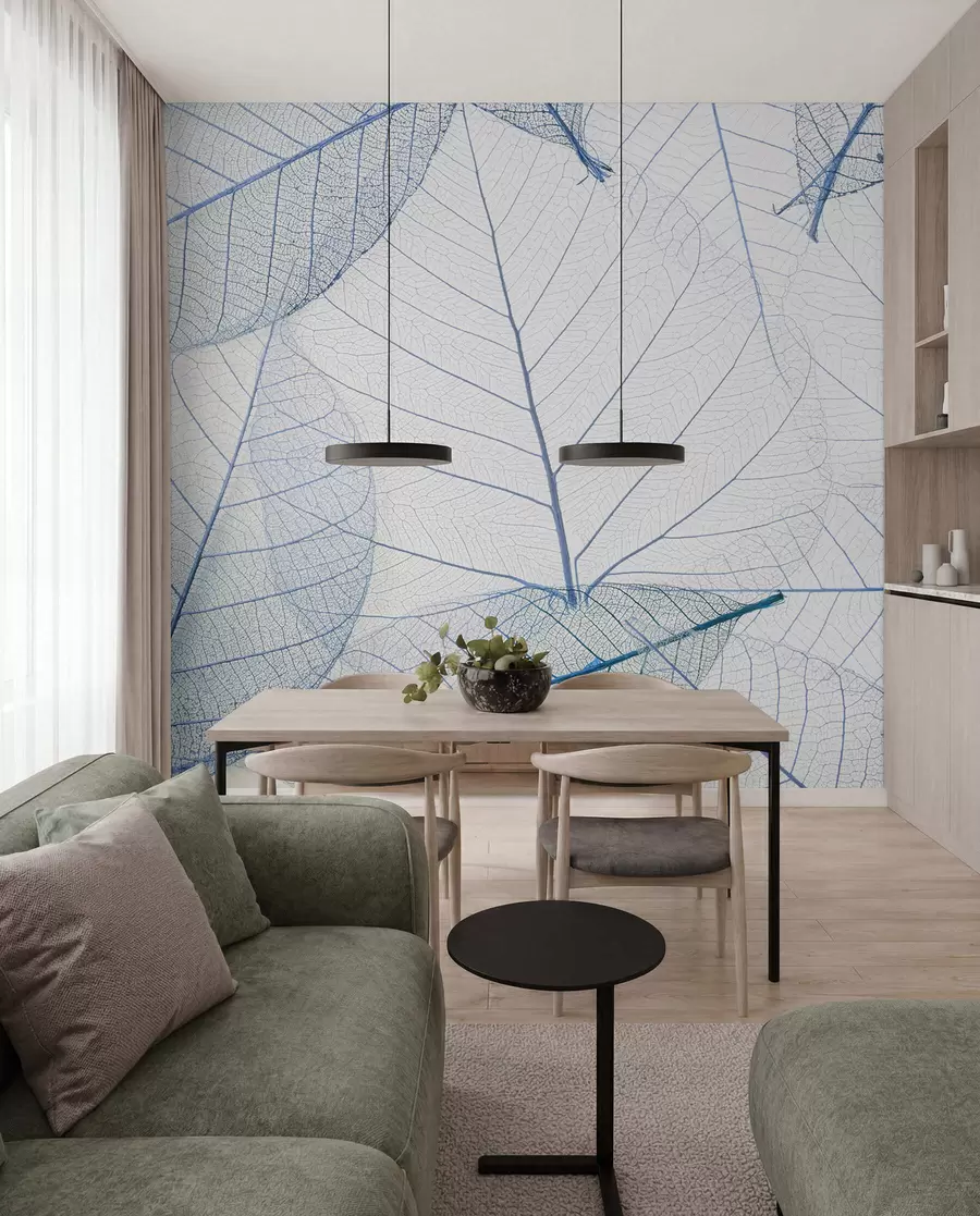 murales de pared Hojas transparentes de color azul u24439v1